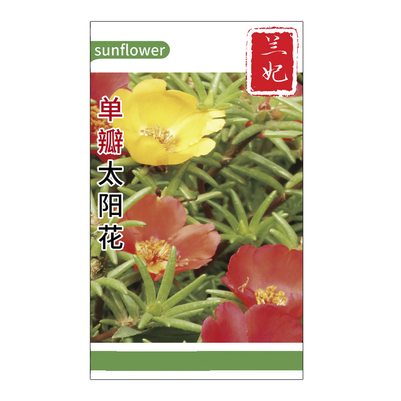 兰妃四季开花太阳花种子