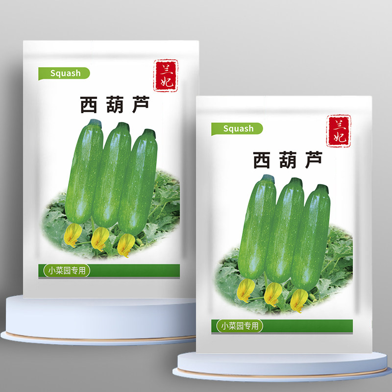 西葫芦种阳台庭院盆载易播种胡瓜快速生长西葫芦四季蔬菜易栽活