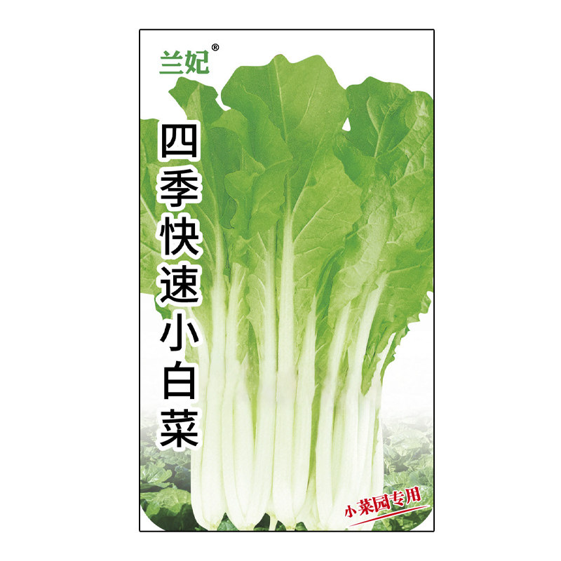兰妃蔬菜种子小白菜种子