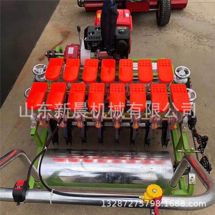 行距可调生菜播种机 免间苗芥菜精播机10行白芷播种机,农机/农具/农膜,播种栽苗器/地膜机,淘宝优惠券,粉丝福利购,淘宝优惠卷
