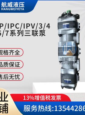 -5/IP06432/40/550/6450/V--/040油泵1064/-5/N18//2132//V612/