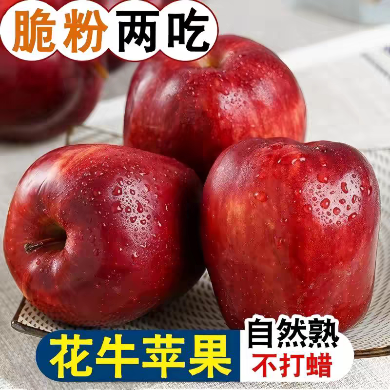 甘肃花牛苹果面粉脆沙甜新鲜水果整箱包邮
