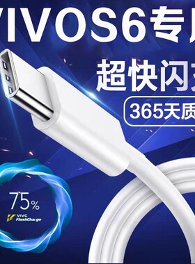 适用VIVOS6数据线18W瓦闪充s6手机快充线加长2米vivoS6充电线