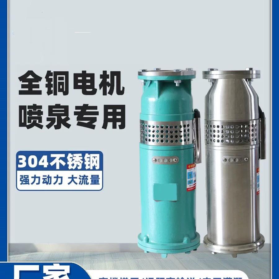 QS/QSP喷泉泵QJ深井泵不锈钢潜水抽水泵井用提水循环水泵园林喷泉