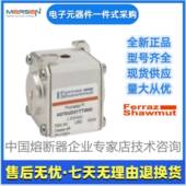 Ferraz罗兰熔断器PC31UD69V160TFM300299美尔森Mersen