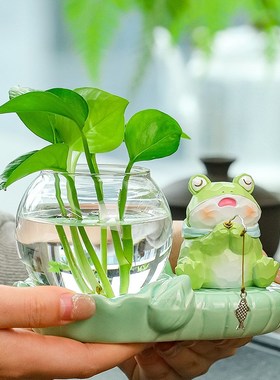 创意青蛙小猫咪钓鱼摆件水培花瓶造景桌面装饰品可爱治愈系微景观