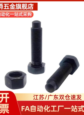 定位螺栓 螺纹前端R型STCA4/5/6/8/10/12/16 细牙/PBE21