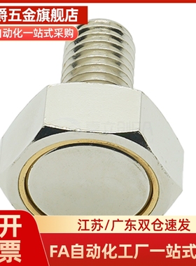 BML01 BML02 BML06 BML11 BML21 31-M3/M4/M5/M6/M8/M10带座磁铁