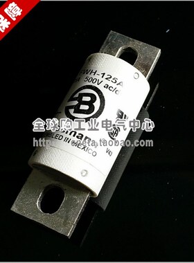 SANN保险丝 FWH5A0A0A0A0A