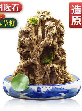 上水石原石天然吸水石盆景摆件麦管石假山原石奇石造景水秀石