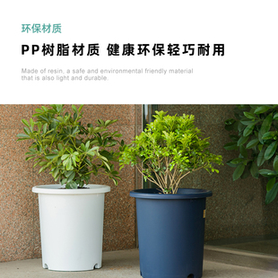 深型eepo花盆加仑盆塑料加深高大号种植载树花钵爱丽丝
