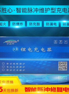 星越驰锂电池电动车V行车充电器24V36H48自10AV 42V2A54.6V3A包邮