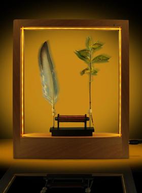 【折扣价】慢舞灯小夜灯立体相框灯slowdancetime慢动作慢时光科