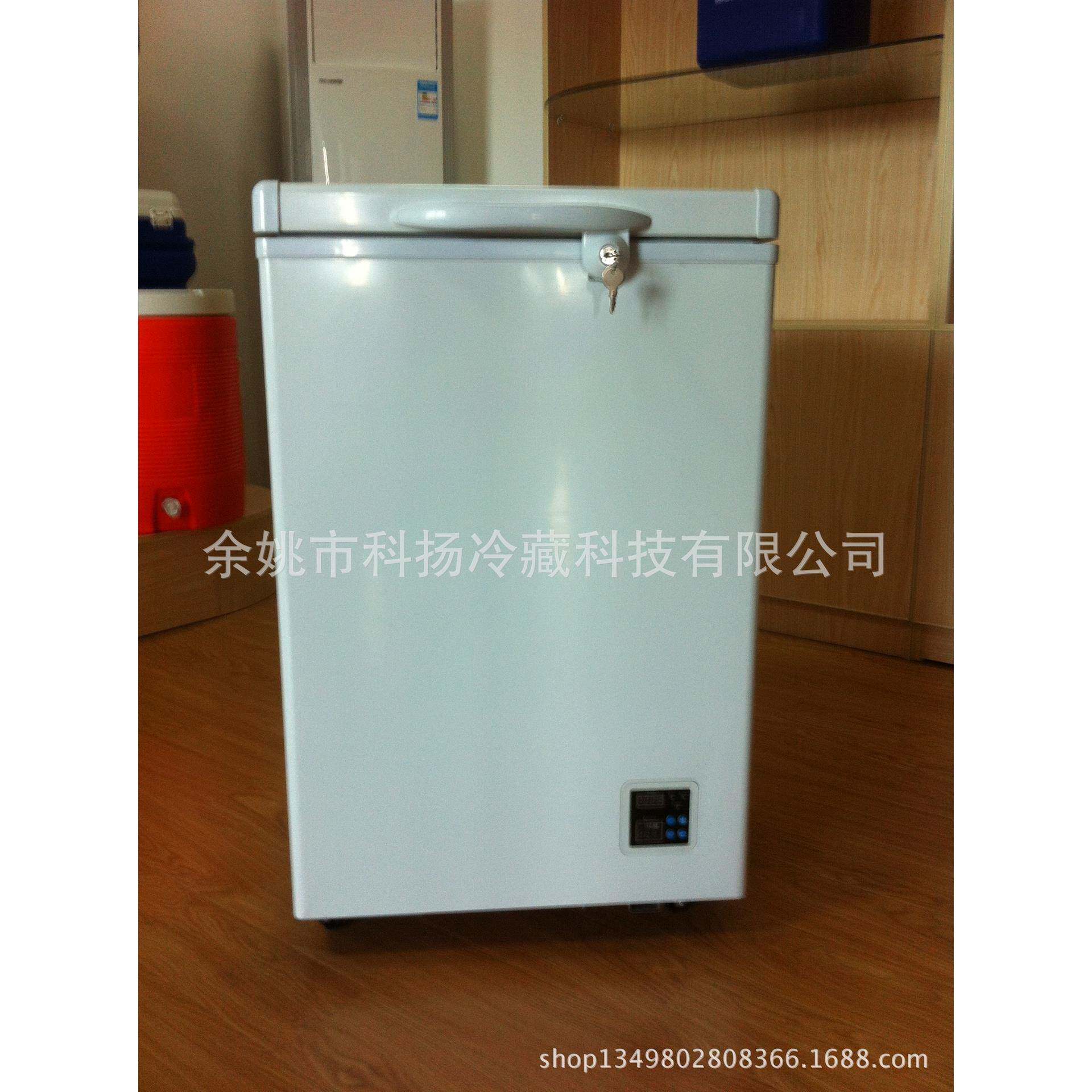 108L电子控温直流冷柜蓄电池冰柜插电太阳能冷柜车载冰箱12V24V