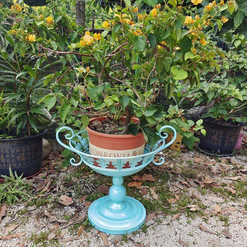 复古铁艺花架装饰奖杯花柱台室内户外植物盆栽绿萝吊兰落地花盆架