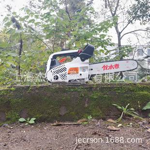 伐木者625小型汽油链条锯专业伐木锯毛竹锯12寸家用轻便型单手锯