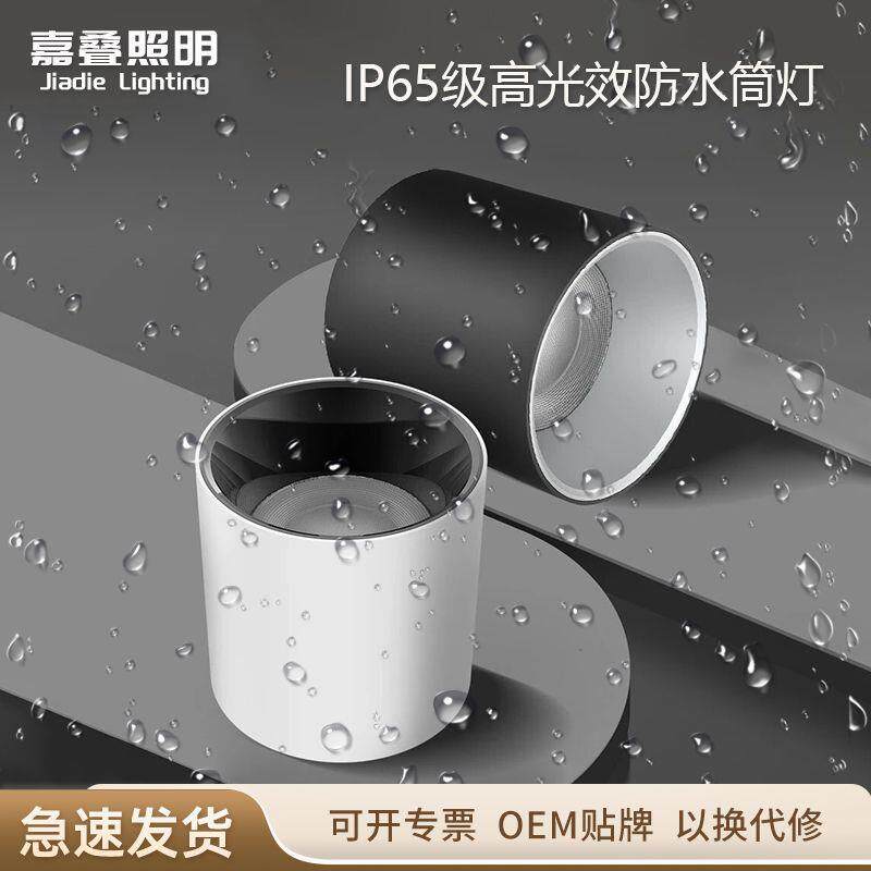 明装防水筒灯led室外门头阳台免开孔天花灯酒店露台雨棚灯防雾灯