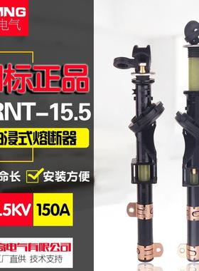 美式箱变油浸式插入式熔断器PRNT-15.5KV熔断器支架双敏熔断电子