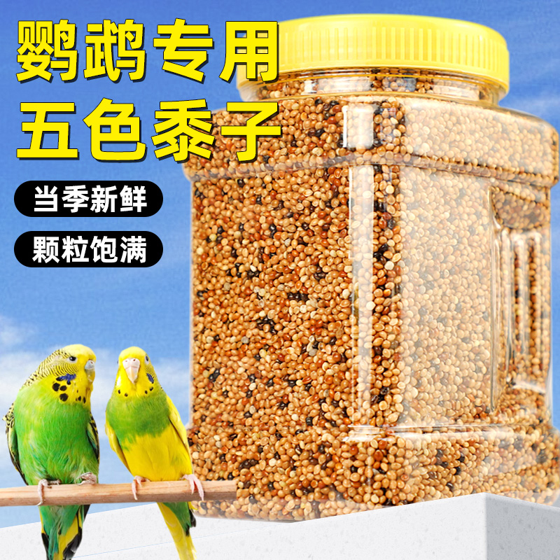 鹦鹉鸟粮饲料鸟食五色黍子带壳小米黄谷子玄凤虎皮牡丹珍珠鸟粮食