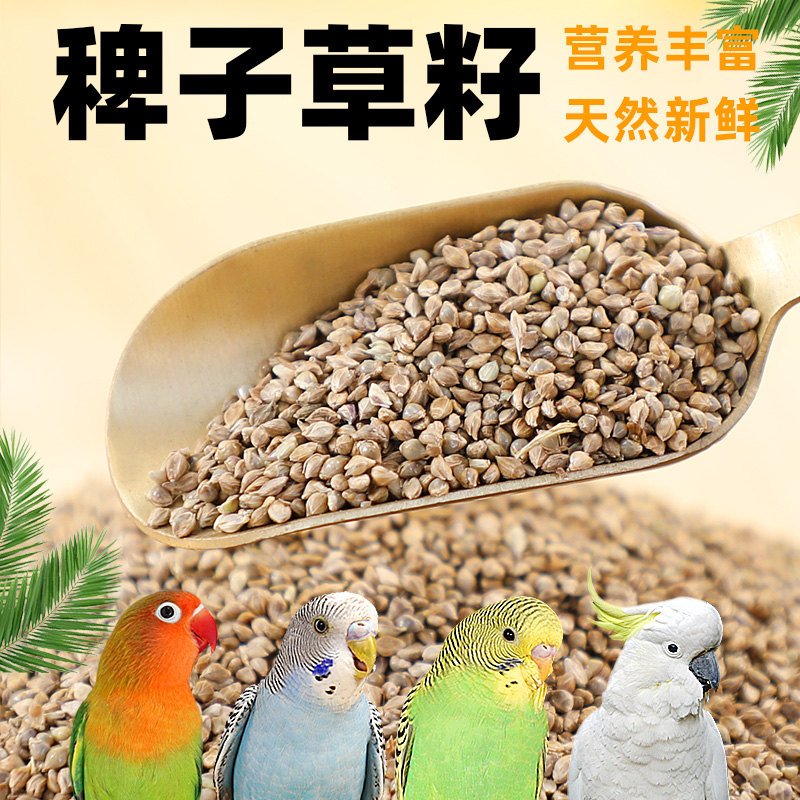 鸟食草籽稗子虎皮鹦鹉珍珠鸟牡丹营养专用粮天然鸟粮食鹦鹉鸟粮