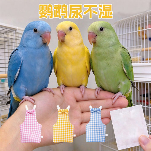 鹦鹉一次性尿片屎兜鹦鹉纸尿裤