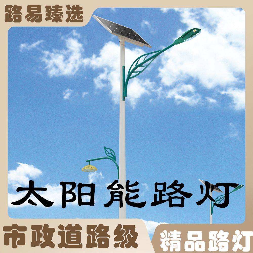 太阳能户外路灯led6米高杆新农村政策热词核心卖点