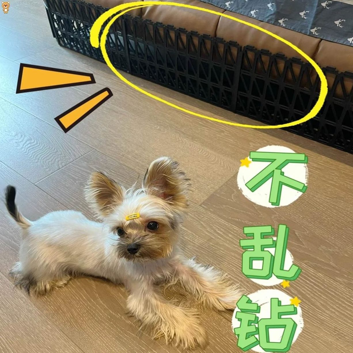 进底猫床下堵神器边围挡。封防狗缝隙底部沙发止宠物钻床防隔挡板