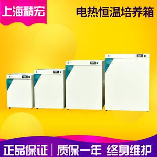 上海精宏DNP 9082电热恒温培养箱恒温箱微生物培养箱