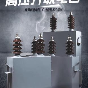 300 10.5 1W3W 上海威斯康高压并联电容器BAMBWFBFFBFM11