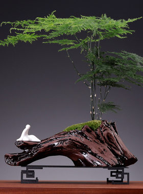 创意文竹盆栽客厅玄关装饰摆件家居饰品桌面微景观