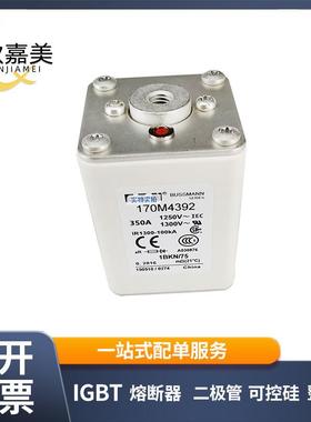 170M4392170M4393快速熔断器电子元器件库存充足量大价优