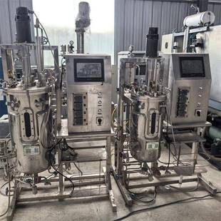 现货出售5升10升20升30升50升100升生物发酵罐双联生物发酵罐