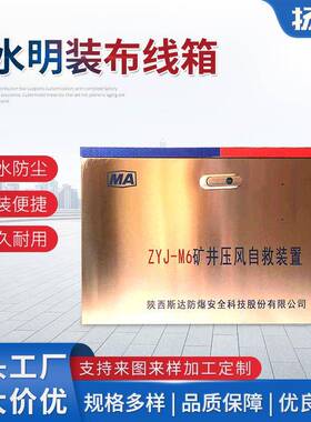 304不锈钢配电箱防水明装布线箱强电户外监控箱柜定制