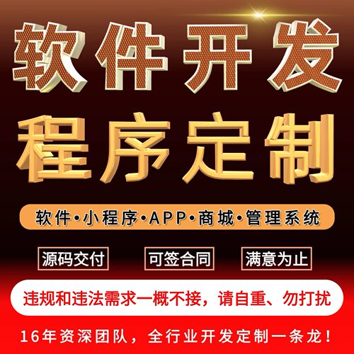 软件app小程序开发定制网站建设