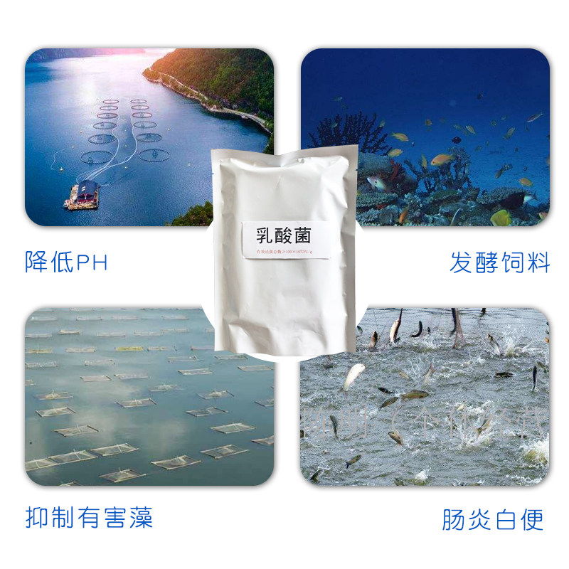 乳酸菌水产养殖净水调节水质降值鱼虾蟹牛羊用菌种畜禽粉,宠物/宠物食品及用品,其他益生菌,淘宝优惠券,粉丝福利购,淘宝优惠卷