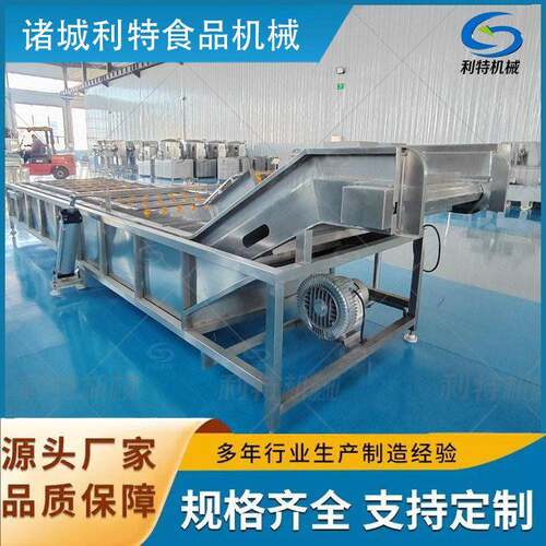 速冻干果鼓浪清洗设备网带式气泡清洗机果脯原料前处理加工设备