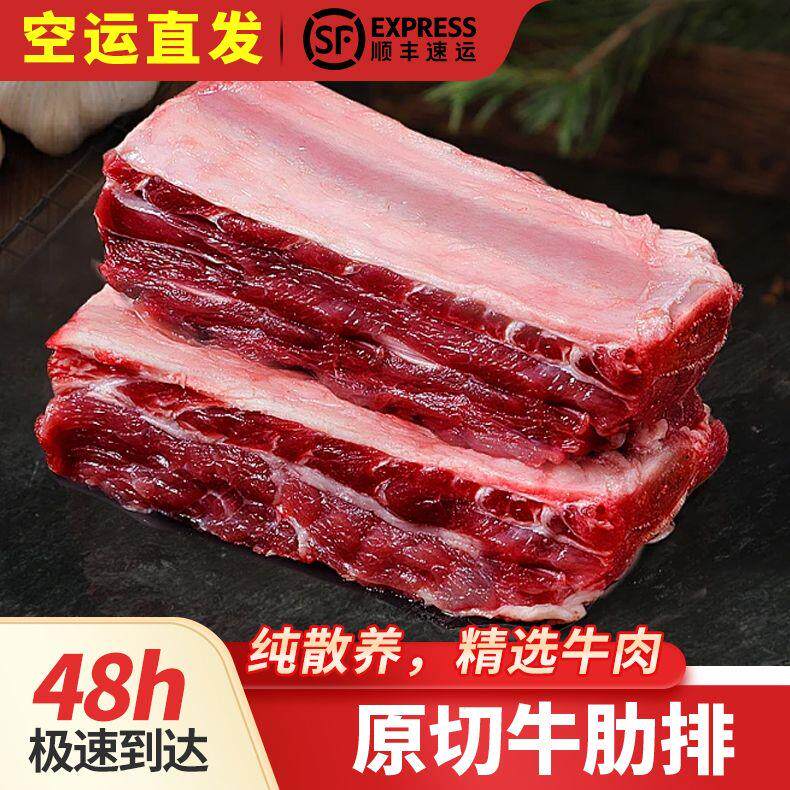 牛排清真草原黄牛内蒙古排骨 散养肉牛肋排原切牛肉排条 冷冻商用