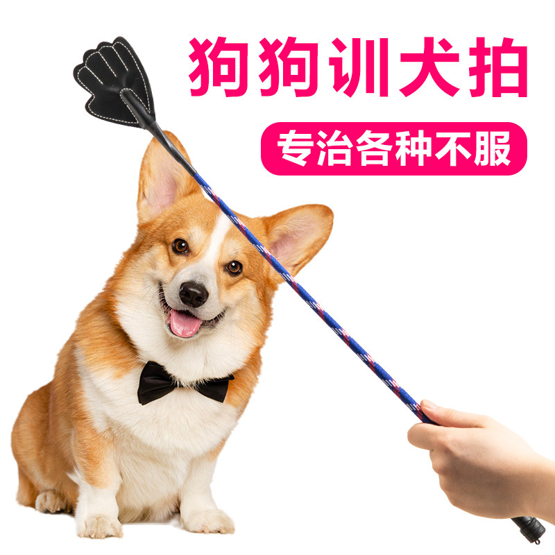 训狗神器训犬棒皮质狗狗爱心拍训练拍防狗狗咬手材质柔软不伤宠物,宠物/宠物食品及用品,训练器,淘宝优惠券,粉丝福利购,淘宝优惠卷