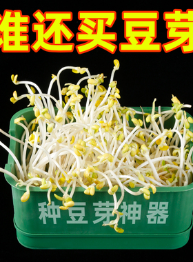 育苗盘种植发芽盆大容量家用豆芽机发豆芽专用盆神器生黄绿豆芽罐