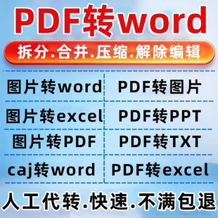 图片 ppt 扫描文件转换成word txt 可编辑文档代 excel pdf