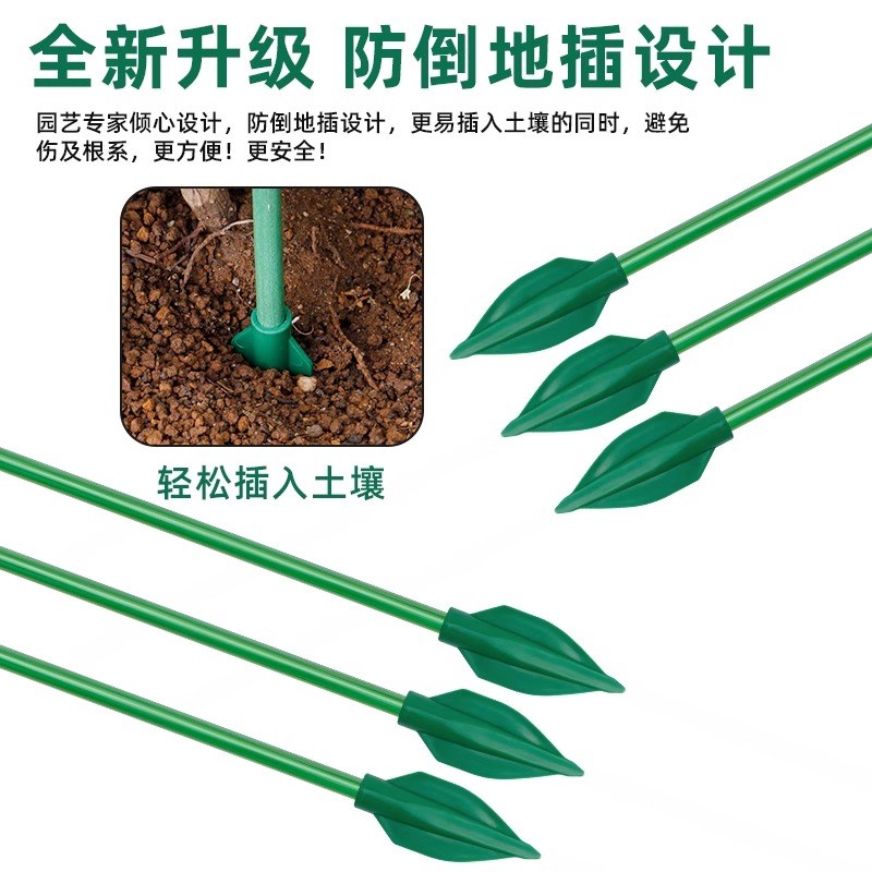 植物龟背竹支撑杆固定支架花卉金钱树天堂鸟支撑杆植物防倒伏支架