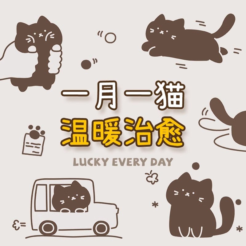 猫咪台历2025年新款日历桌面摆件2024年月历计划表记事本年历