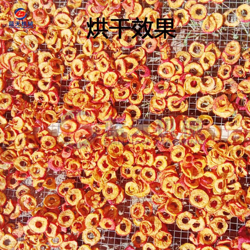 海棠果片烘机空气能沙干果海棠干烘果干房沙果干小JPX苹干片烘设