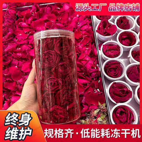 大型工冻干途机流品水线小型冻干设备食化多中用FUV真空冷冻干燥