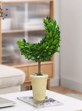 馨颜植创意手工桌面摆件家居装饰品客厅室内绿植圣诞节月亮树礼物