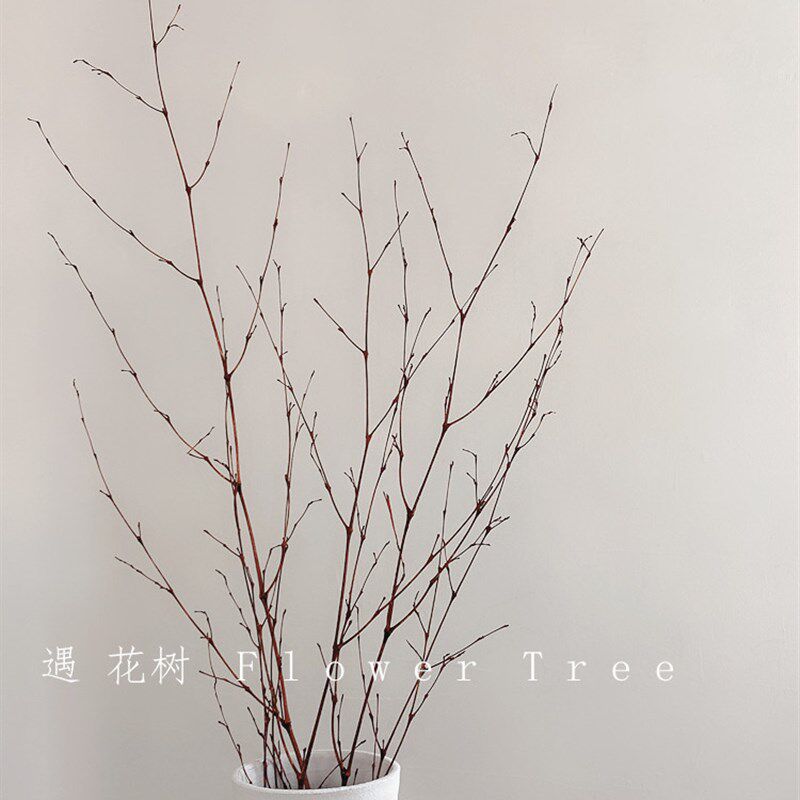 竹枝绿竹兰藤植物装花茶室客厅插花干饰民宿样板房软装