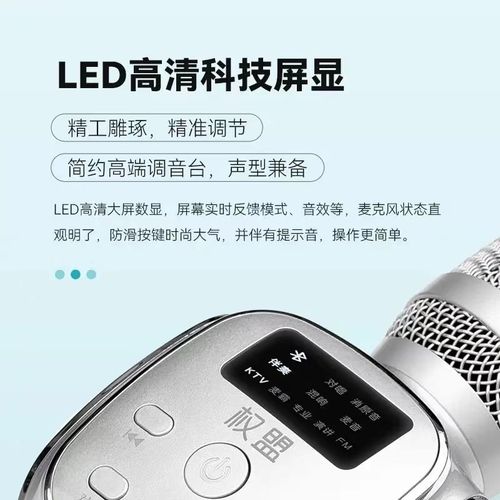 权盟话筒音响一体机麦克风无线蓝牙k歌直播全民家庭ktv娱乐话筒