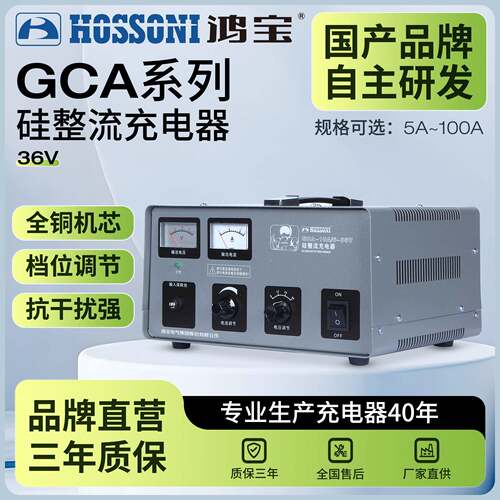 鸿宝硅整流充电器36V蓄电池通用型全自动大功率