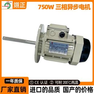 750W三相异步电机380V隔热装 置不锈钢长轴电机交流异步马达电机