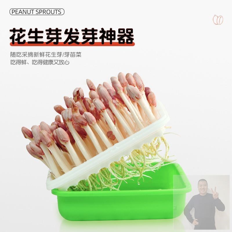 花生芽水培盒种植网格盘豌豆苗育苗盘发黄绿豆芽盆无土栽培水培箱